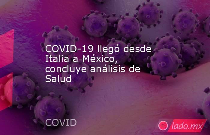 COVID-19 llegó desde Italia a México, concluye análisis de Salud. Noticias en tiempo real