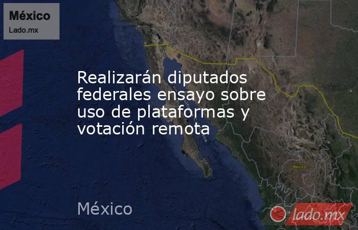 Realizarán diputados federales ensayo sobre uso de plataformas y votación remota. Noticias en tiempo real