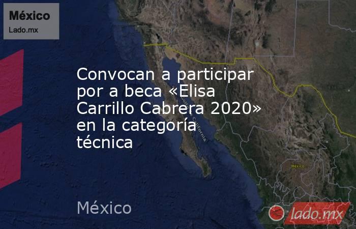 Convocan a participar por a beca «Elisa Carrillo Cabrera 2020» en la categoría técnica. Noticias en tiempo real