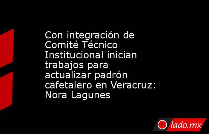 Con integración de Comité Técnico Institucional inician trabajos para actualizar padrón cafetalero en Veracruz: Nora Lagunes. Noticias en tiempo real