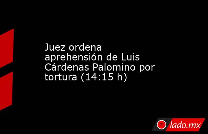Juez ordena aprehensión de Luis Cárdenas Palomino por tortura (14:15 h). Noticias en tiempo real
