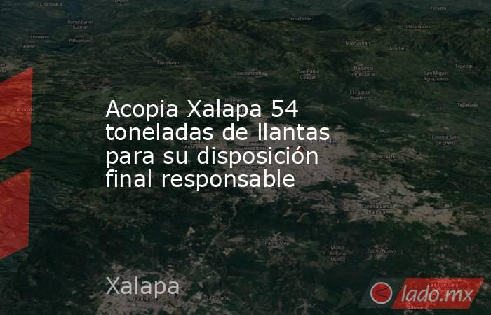 Acopia Xalapa 54 toneladas de llantas  para su disposición final responsable. Noticias en tiempo real