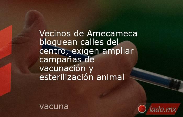 Vecinos de Amecameca bloquean calles del centro, exigen ampliar campañas de vacunación y esterilización animal. Noticias en tiempo real