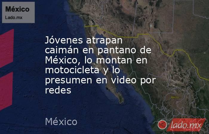 Jóvenes atrapan caimán en pantano de México, lo montan en motocicleta y lo presumen en video por redes. Noticias en tiempo real