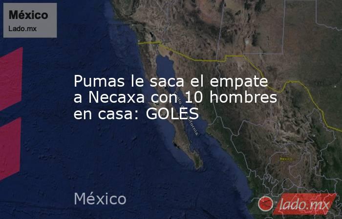 Pumas le saca el empate a Necaxa con 10 hombres en casa: GOLES. Noticias en tiempo real