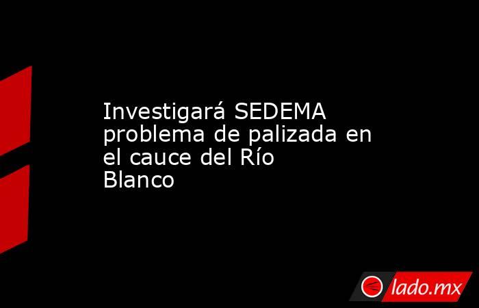 Investigará SEDEMA problema de palizada en el cauce del Río Blanco. Noticias en tiempo real