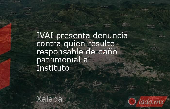 IVAI presenta denuncia contra quien resulte responsable de daño patrimonial al Instituto. Noticias en tiempo real