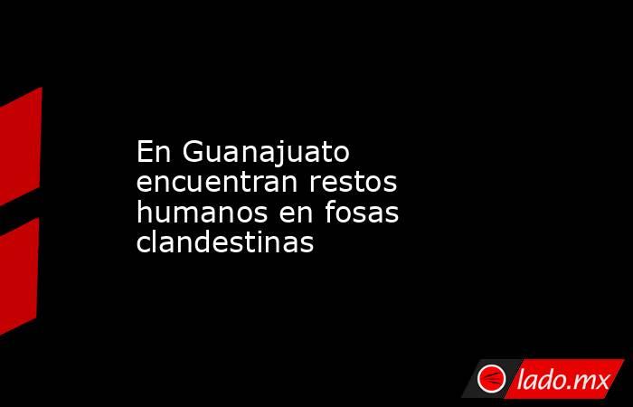 En Guanajuato encuentran restos humanos en fosas clandestinas. Noticias en tiempo real