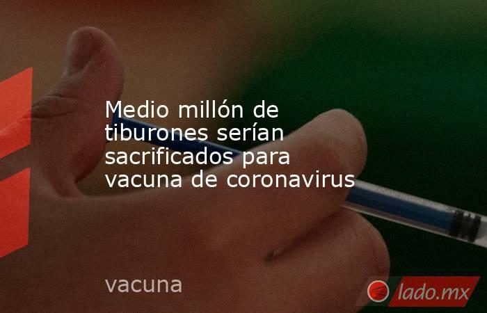 Medio millón de tiburones serían sacrificados para vacuna de coronavirus. Noticias en tiempo real