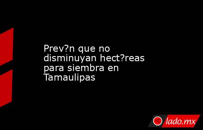 Prev?n que no disminuyan hect?reas para siembra en Tamaulipas. Noticias en tiempo real