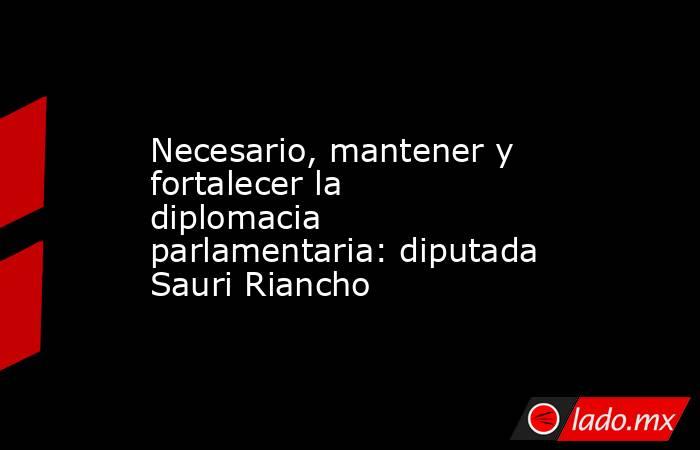 Necesario, mantener y fortalecer la diplomacia parlamentaria: diputada Sauri Riancho. Noticias en tiempo real