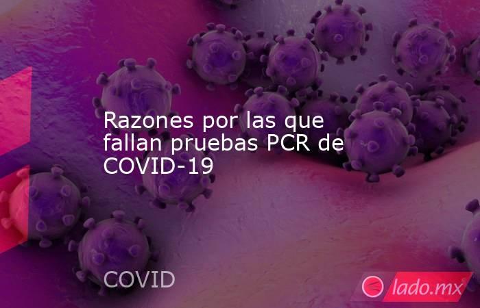 Razones por las que fallan pruebas PCR de COVID-19. Noticias en tiempo real