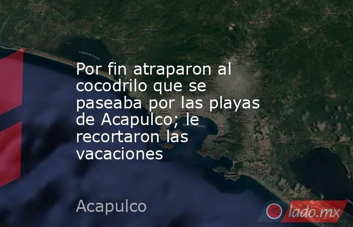 Por fin atraparon al cocodrilo que se paseaba por las playas de Acapulco; le recortaron las vacaciones. Noticias en tiempo real