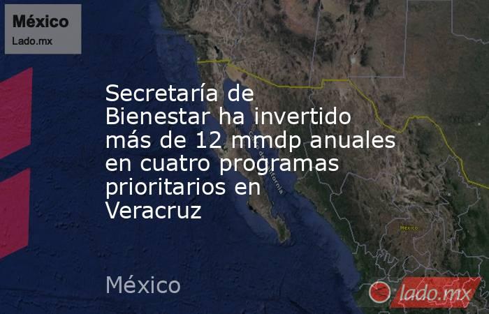 Secretaría de Bienestar ha invertido más de 12 mmdp anuales en cuatro programas prioritarios en Veracruz. Noticias en tiempo real