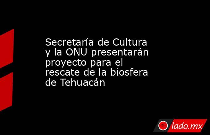 Secretaría de Cultura y la ONU presentarán proyecto para el rescate de la biosfera de Tehuacán. Noticias en tiempo real