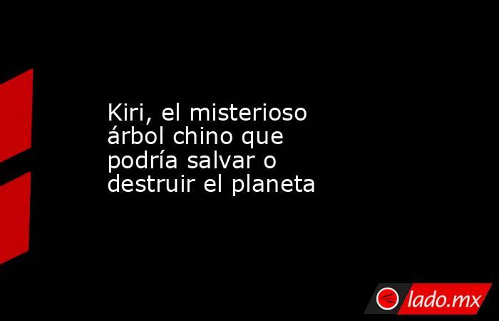 Kiri, el misterioso árbol chino que podría salvar o destruir el planeta
. Noticias en tiempo real