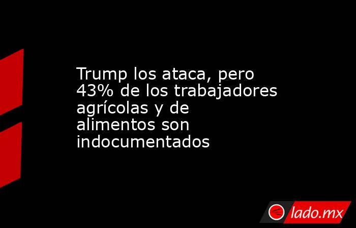 Trump los ataca, pero 43% de los trabajadores agrícolas y de alimentos son indocumentados. Noticias en tiempo real