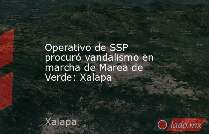 Operativo de SSP procuró vandalismo en marcha de Marea de Verde: Xalapa. Noticias en tiempo real