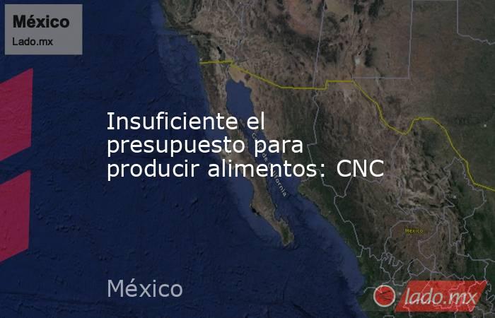 Insuficiente el presupuesto para producir alimentos: CNC. Noticias en tiempo real