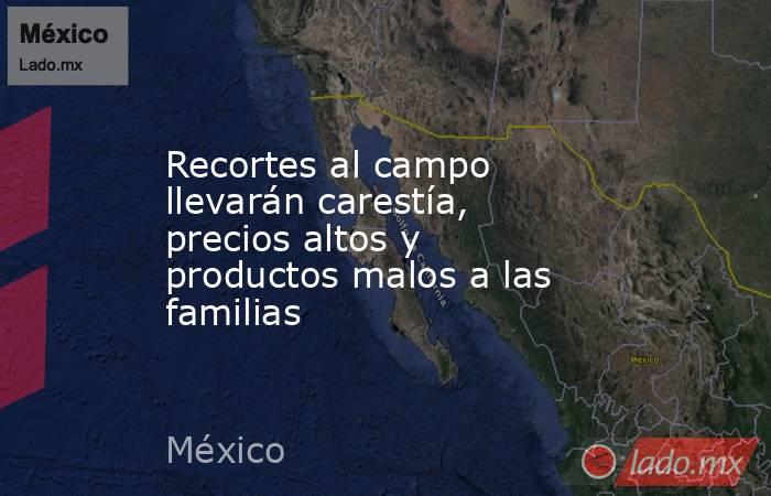 Recortes al campo llevarán carestía, precios altos y productos malos a las familias. Noticias en tiempo real