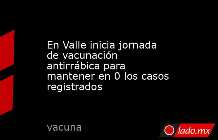 En Valle inicia jornada de vacunación antirrábica para mantener en 0 los casos registrados. Noticias en tiempo real