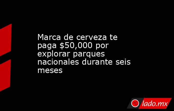 Marca de cerveza te paga $50,000 por explorar parques nacionales durante seis meses. Noticias en tiempo real
