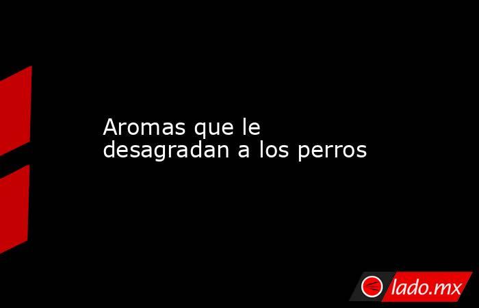 Aromas que le desagradan a los perros. Noticias en tiempo real