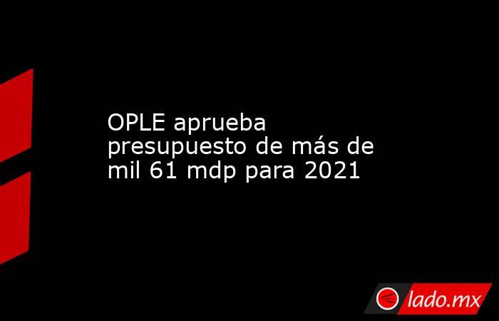 OPLE aprueba presupuesto de más de mil 61 mdp para 2021. Noticias en tiempo real