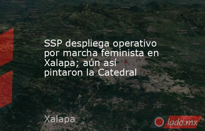 SSP despliega operativo por marcha feminista en Xalapa; aún así pintaron la Catedral. Noticias en tiempo real