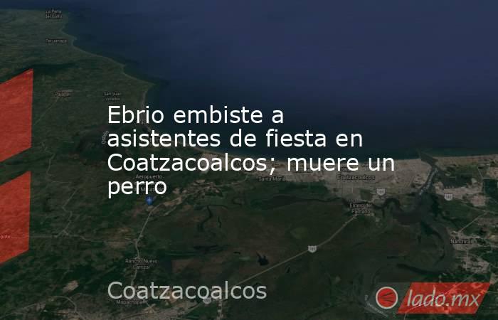 Ebrio embiste a asistentes de fiesta en Coatzacoalcos; muere un perro. Noticias en tiempo real