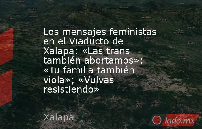 Los mensajes feministas en el Viaducto de Xalapa: «Las trans también abortamos»; «Tu familia también viola»; «Vulvas resistiendo». Noticias en tiempo real