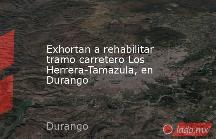 Exhortan a rehabilitar tramo carretero Los Herrera-Tamazula, en Durango. Noticias en tiempo real