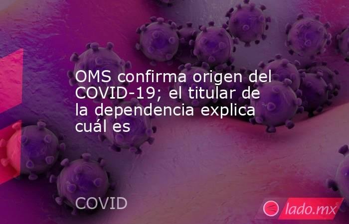 OMS confirma origen del COVID-19; el titular de la dependencia explica cuál es. Noticias en tiempo real