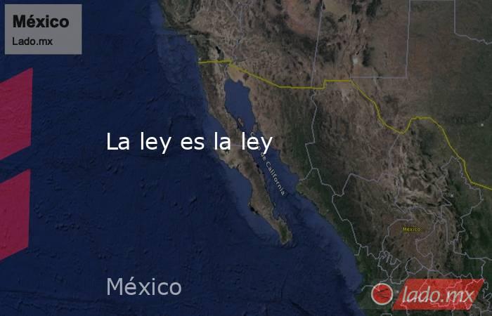 La ley es la ley. Noticias en tiempo real