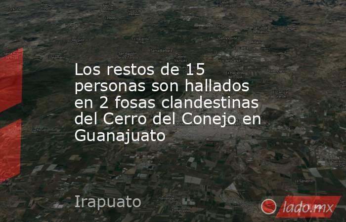 Los restos de 15 personas son hallados en 2 fosas clandestinas del Cerro del Conejo en Guanajuato. Noticias en tiempo real