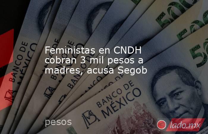 Feministas en CNDH cobran 3 mil pesos a madres, acusa Segob. Noticias en tiempo real