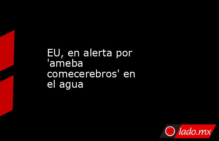 EU, en alerta por 'ameba comecerebros' en el agua. Noticias en tiempo real