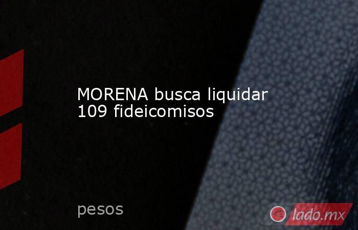 MORENA busca liquidar 109 fideicomisos. Noticias en tiempo real