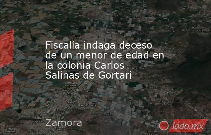 Fiscalía indaga deceso de un menor de edad en la colonia Carlos Salinas de Gortari. Noticias en tiempo real