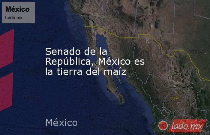 Senado de la República, México es la tierra del maíz. Noticias en tiempo real