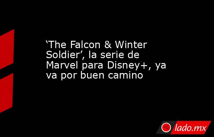 ‘The Falcon & Winter Soldier’, la serie de Marvel para Disney+, ya va por buen camino. Noticias en tiempo real