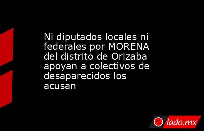 Ni diputados locales ni federales por MORENA del distrito de Orizaba apoyan a colectivos de desaparecidos los acusan. Noticias en tiempo real