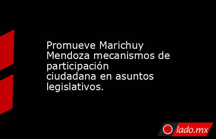 Promueve Marichuy Mendoza mecanismos de participación ciudadana en asuntos legislativos.. Noticias en tiempo real