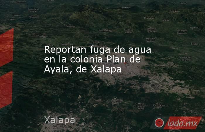 Reportan fuga de agua en la colonia Plan de Ayala, de Xalapa. Noticias en tiempo real