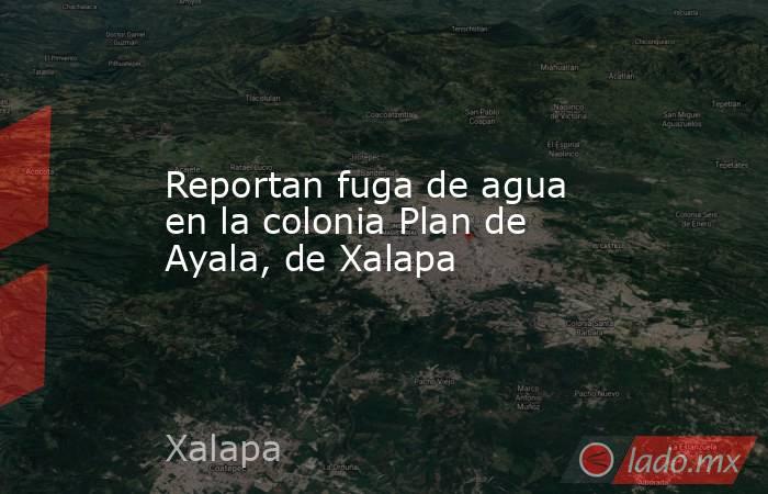 Reportan fuga de agua en la colonia Plan de Ayala, de Xalapa. Noticias en tiempo real