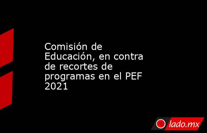 Comisión de Educación, en contra de recortes de programas en el PEF 2021. Noticias en tiempo real