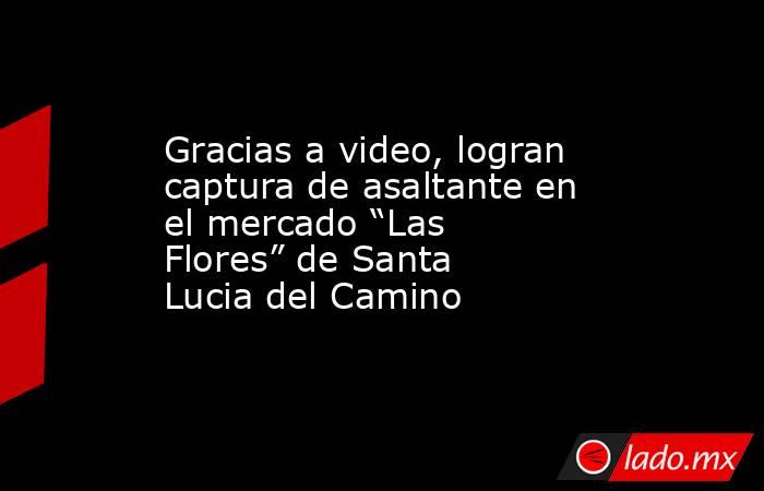 Gracias a video, logran captura de asaltante en el mercado “Las Flores” de Santa Lucia del Camino. Noticias en tiempo real