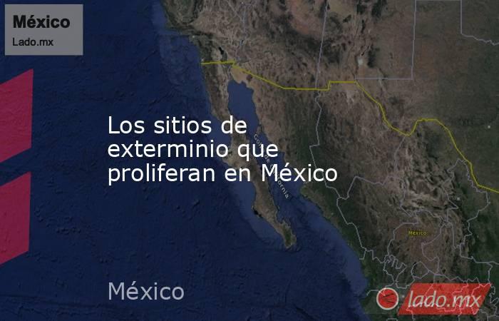 Los sitios de exterminio que proliferan en México. Noticias en tiempo real