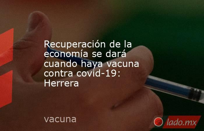 Recuperación de la economía se dará cuando haya vacuna contra covid-19: Herrera. Noticias en tiempo real