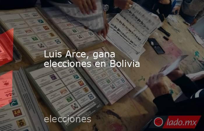 Luis Arce, gana elecciones en Bolivia. Noticias en tiempo real